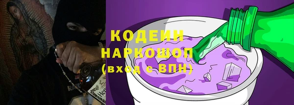 прущие грибы Армянск