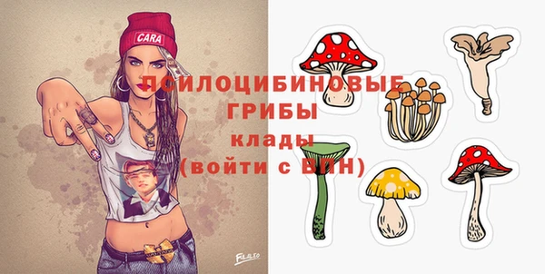 бутират Арсеньев