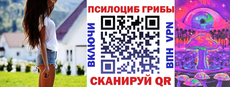 Псилоцибиновые грибы прущие грибы  хочу   Стародуб 